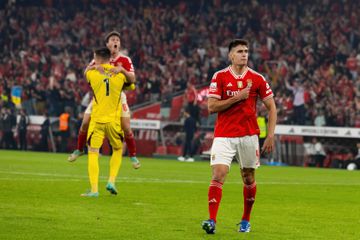 António Silva, o capitão sem braçadeira no Benfica