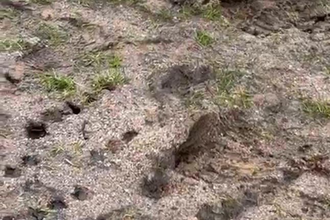 Campo da Mata, nas Caldas da Rainha, onde o Caldas ia jpgar com o SC Braga