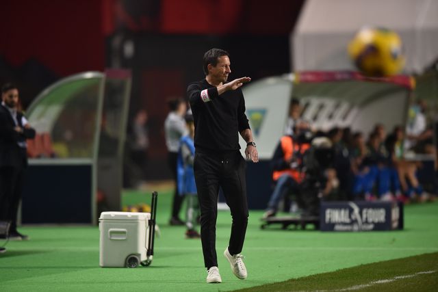 Roger Schmidt: «Não é vergonha perder com o Estoril»