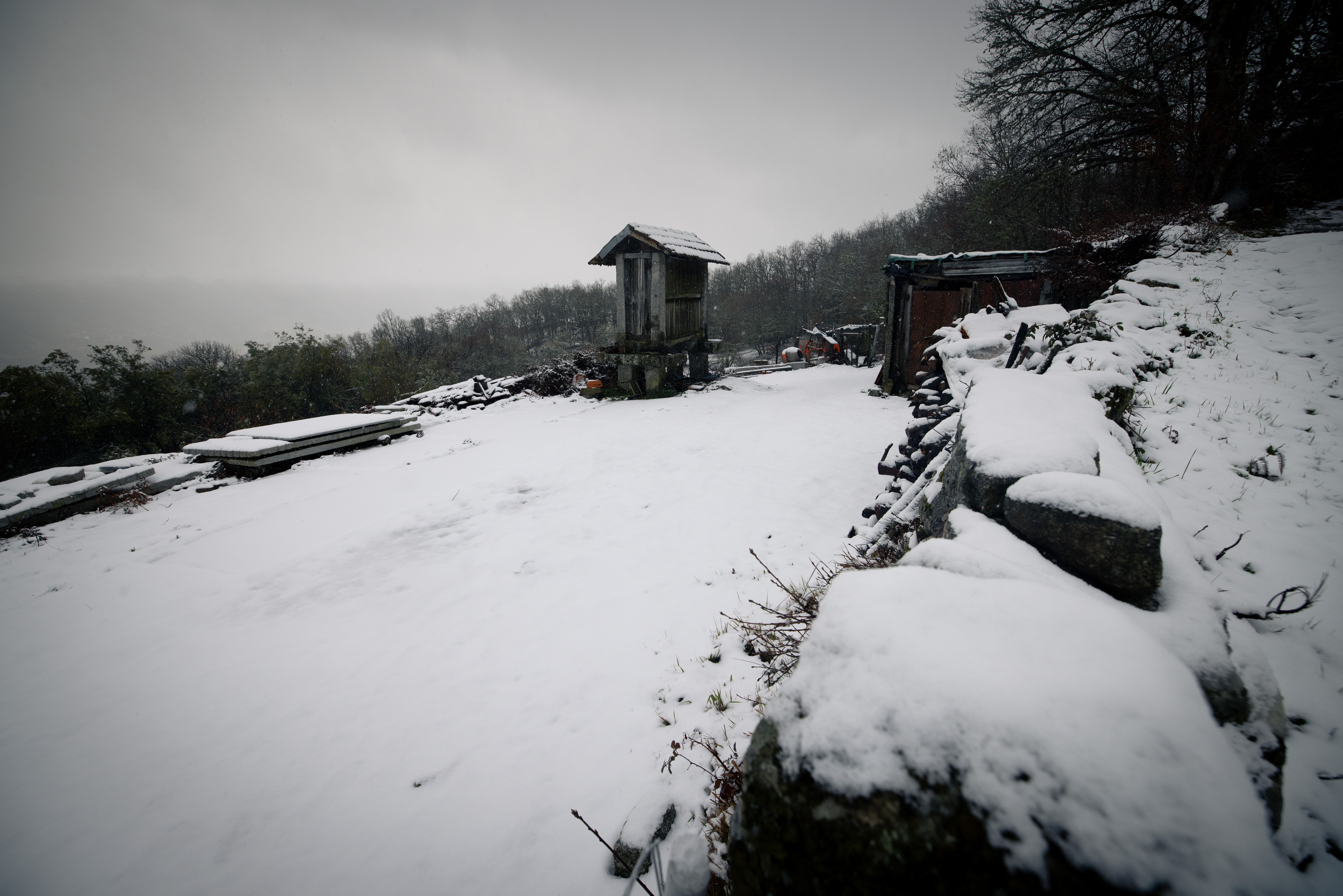 Neve em Vila Pouca de Aguiar. Foto: PEDRO SARMENTO COSTA/LUSA