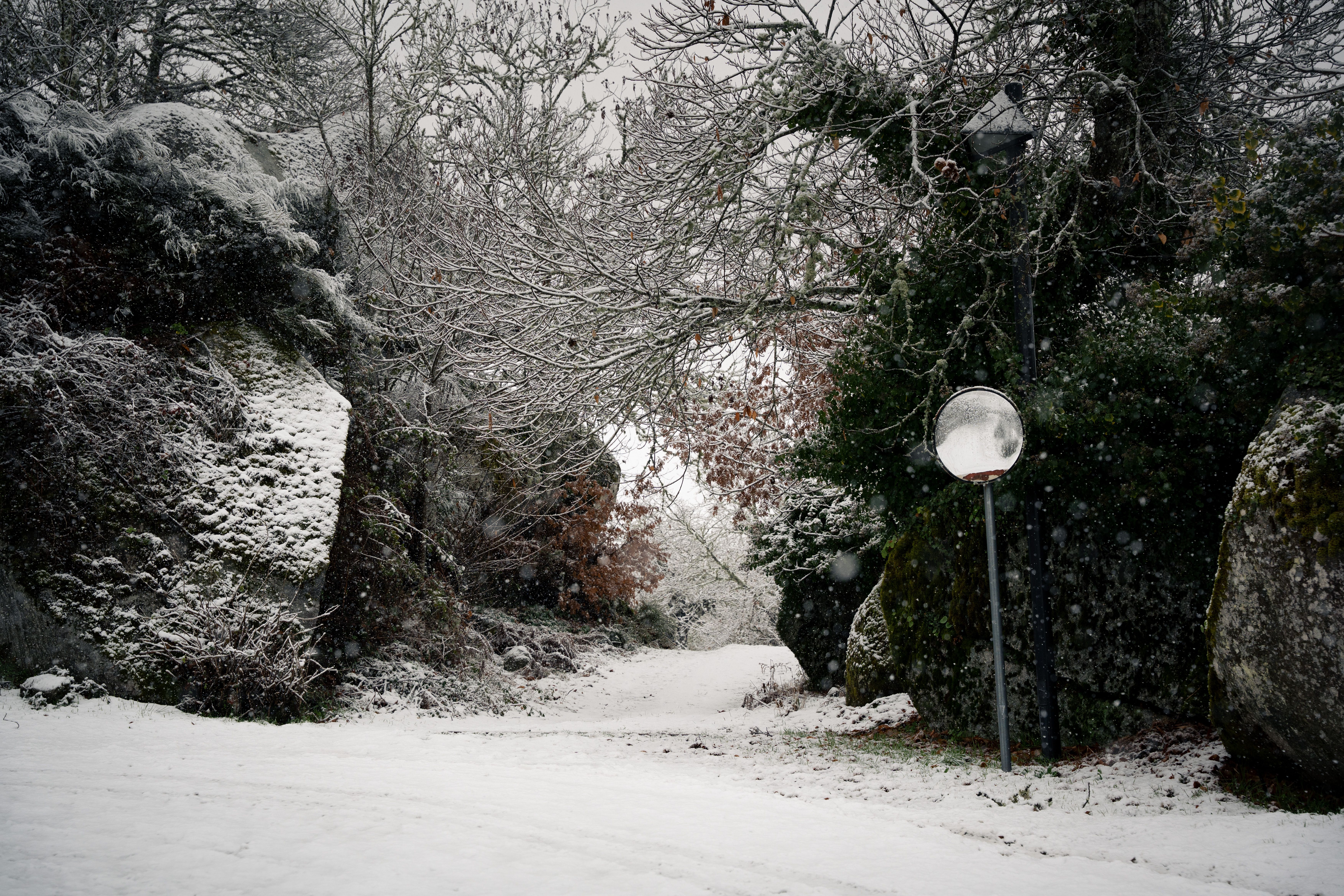 Neve em Vila Pouca de Aguiar. Foto: PEDRO SARMENTO COSTA/LUSA