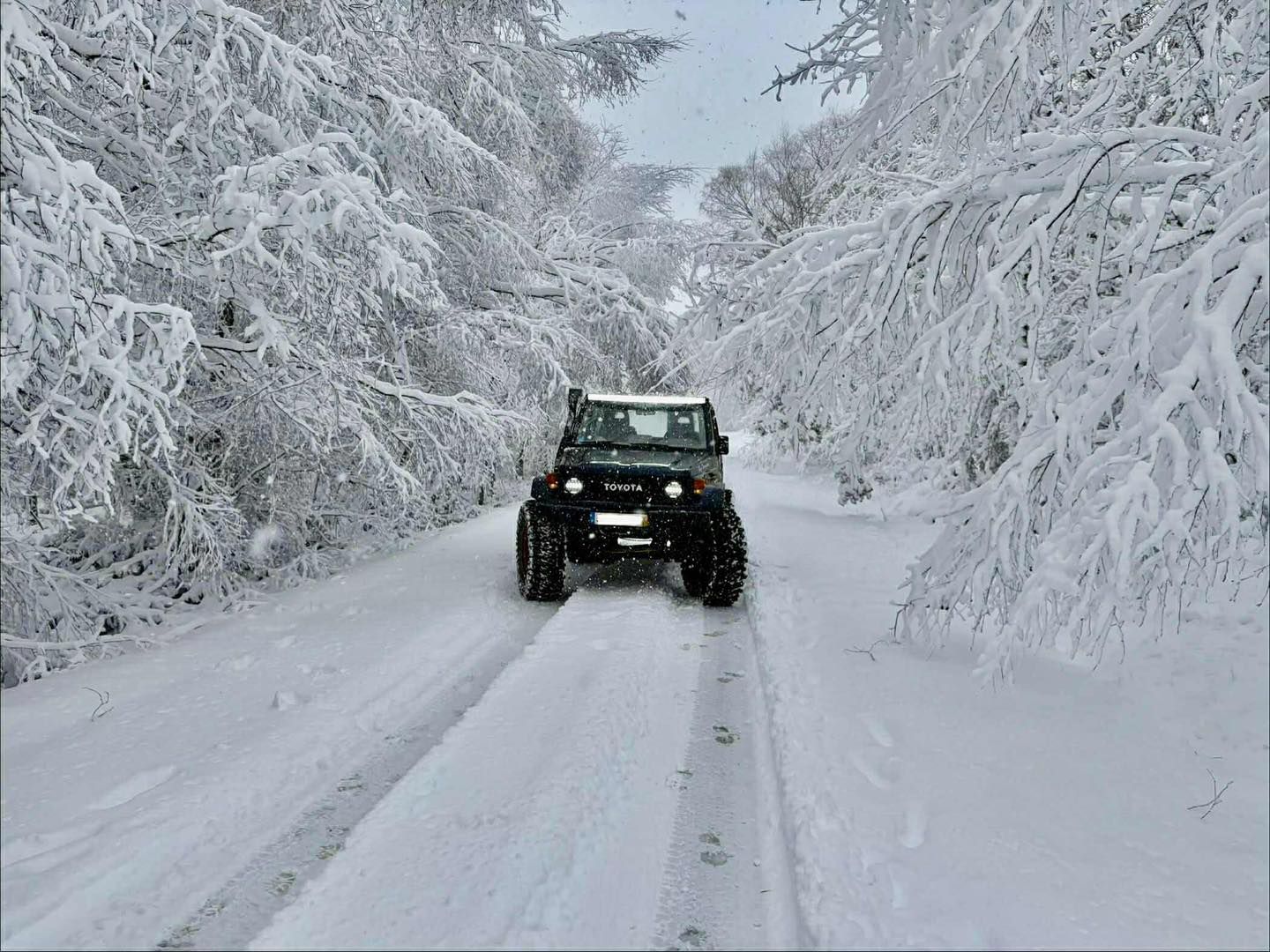 Neve na Serra da Nogueira - Foto: Meteo Trás os Montes - Portugal