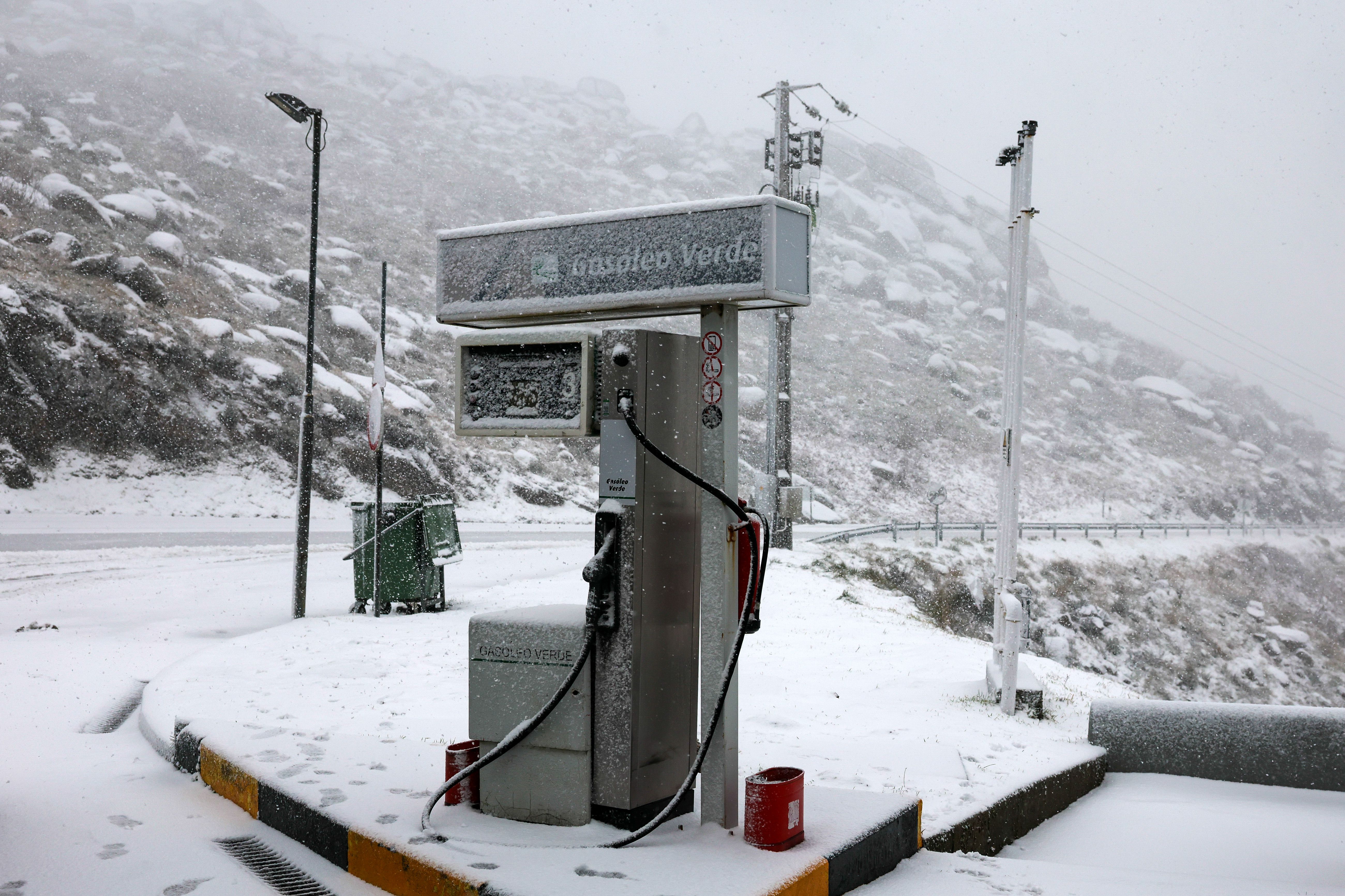 Neve na Serra da Gralheira, Cinfães - Foto: PAULO NOVAIS/LUSA