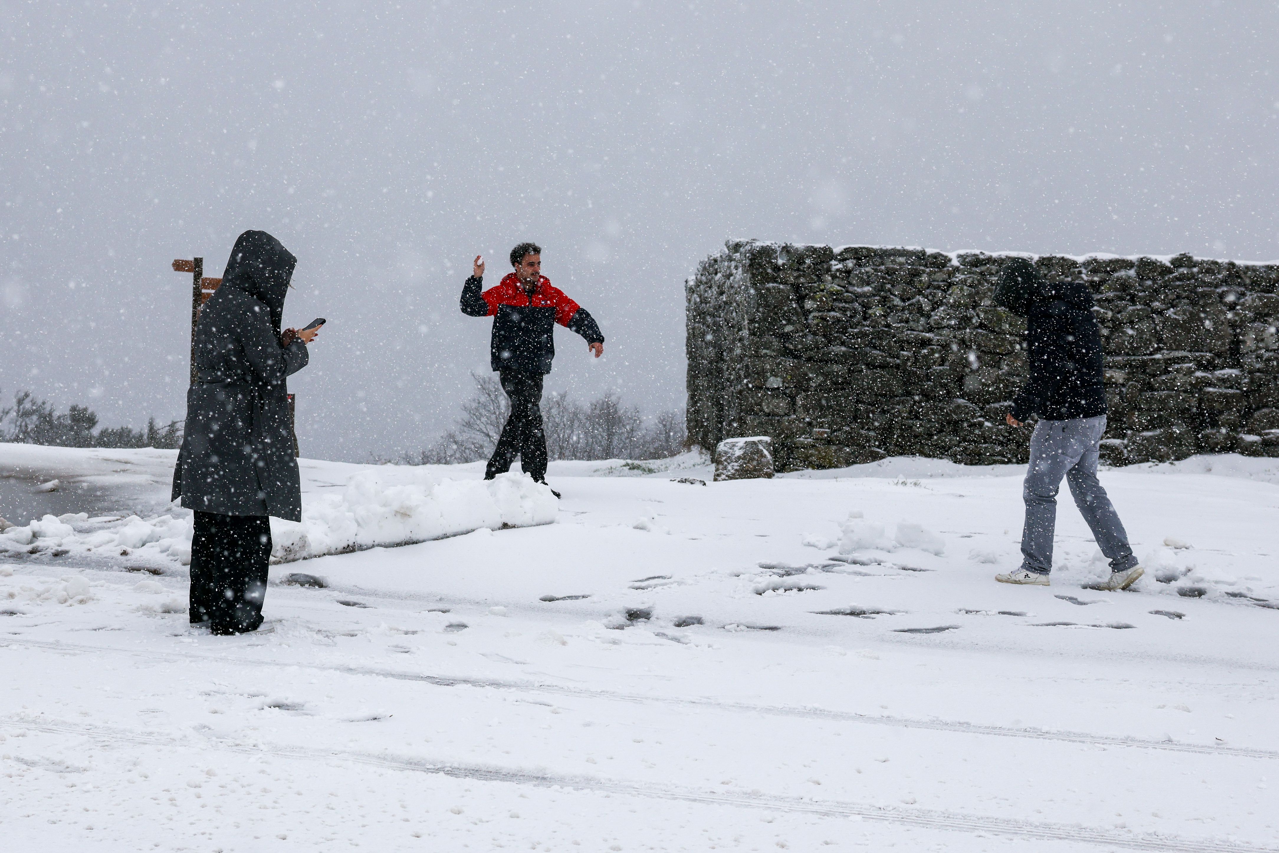 Neve na Serra da Gralheira, Cinfães - Foto: PAULO NOVAIS/LUSA