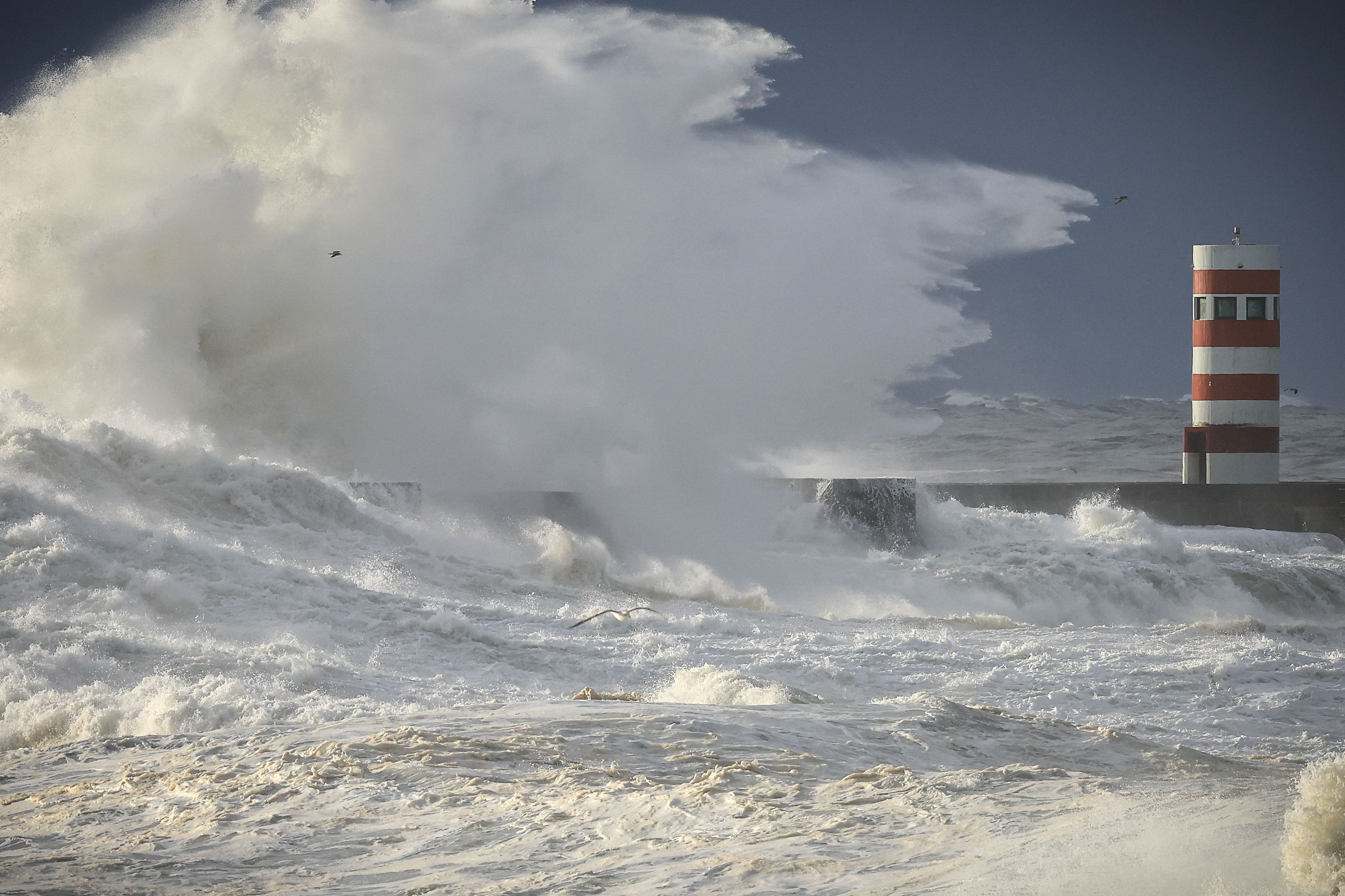 Portugal está a ser assolado pela tempestade Ingrid - Foto: JOSÉ COELHO/LUSA