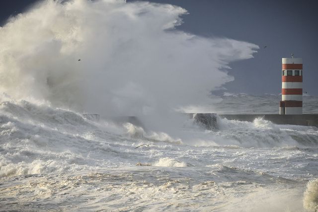 Portugal está a ser assolado pela tempestade Ingrid - Foto: JOSÉ COELHO/LUSA