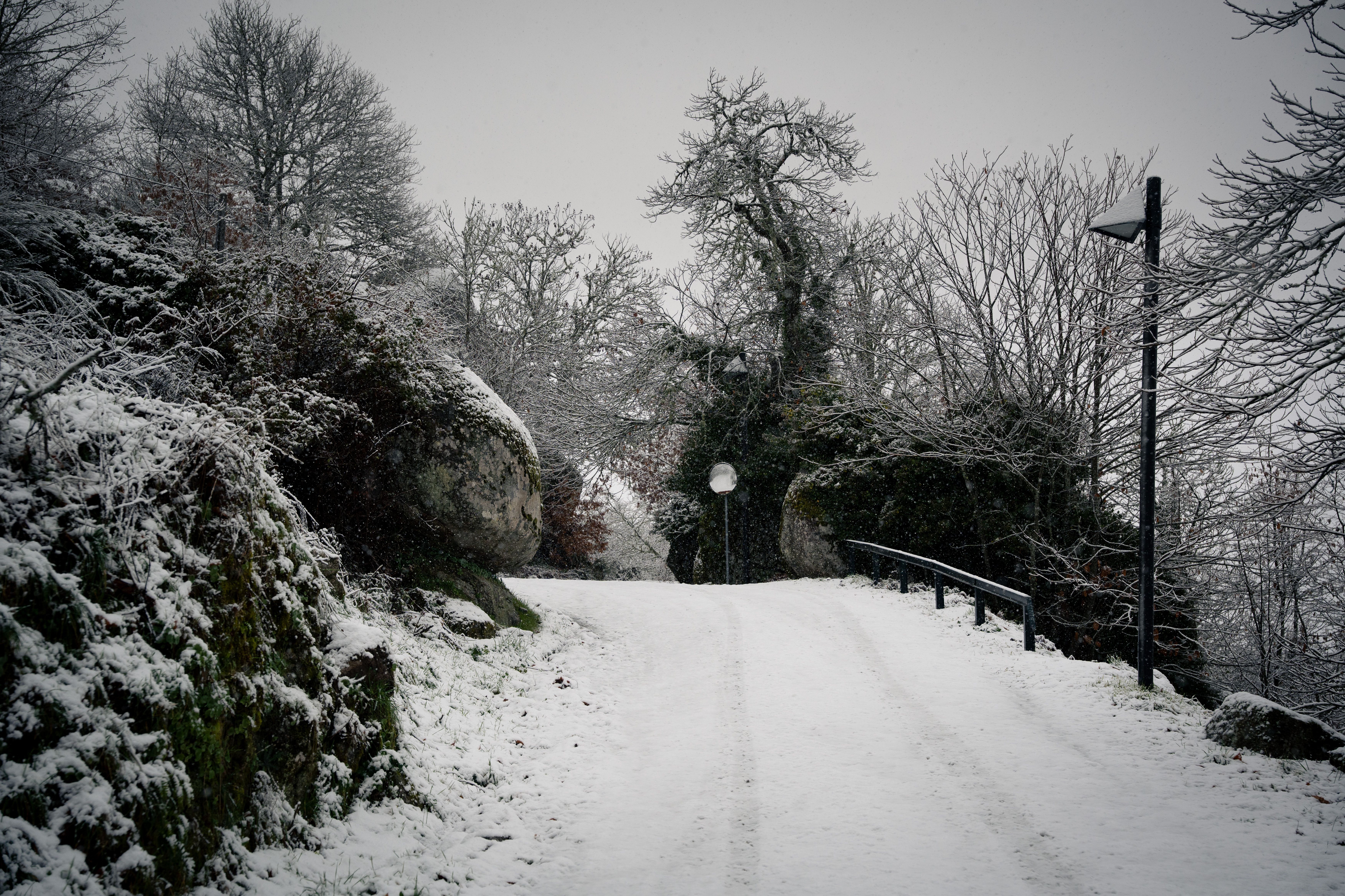 Neve em Vila Pouca de Aguiar. Foto: PEDRO SARMENTO COSTA/LUSA