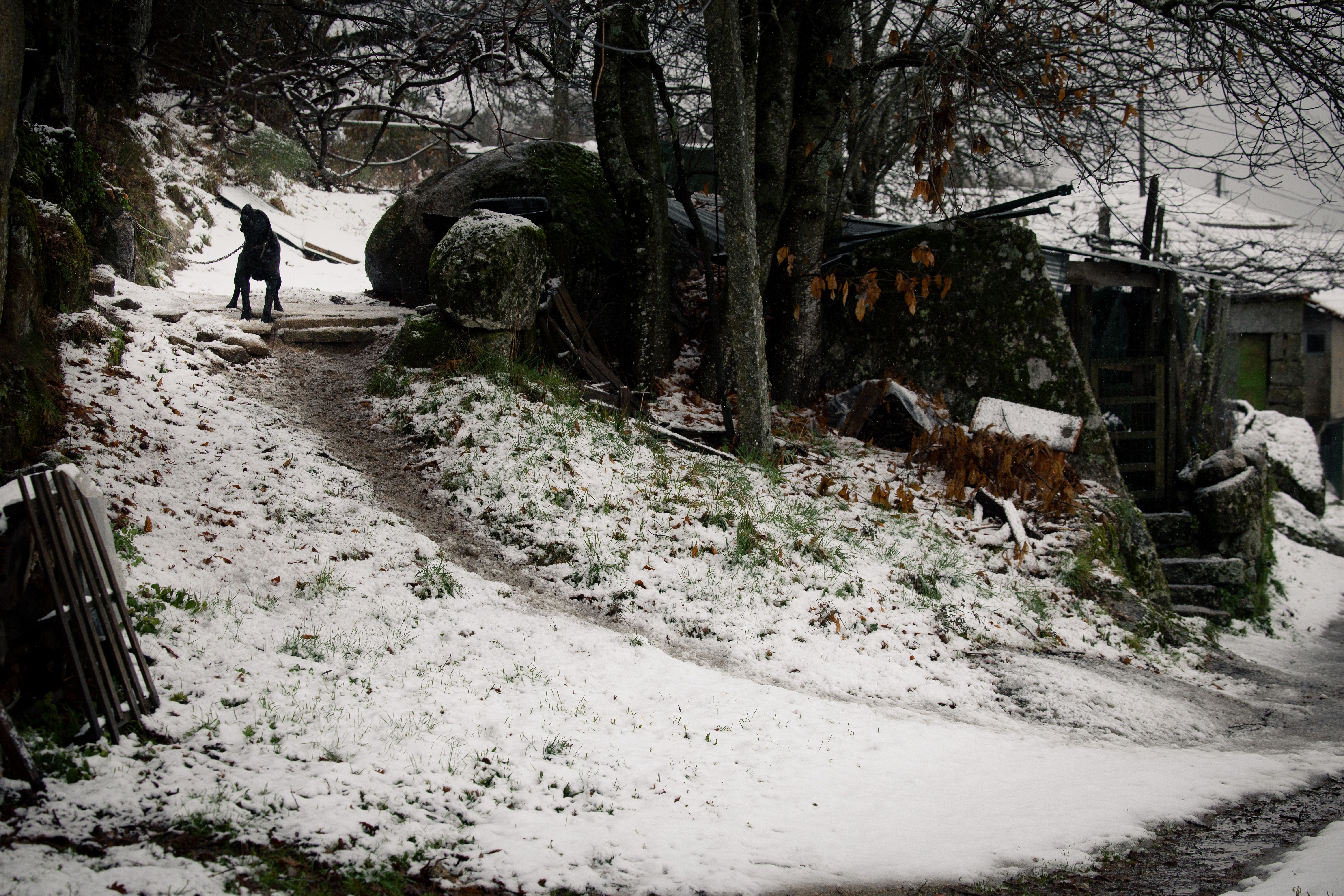 Neve em Vila Pouca de Aguiar. Foto: PEDRO SARMENTO COSTA/LUSA