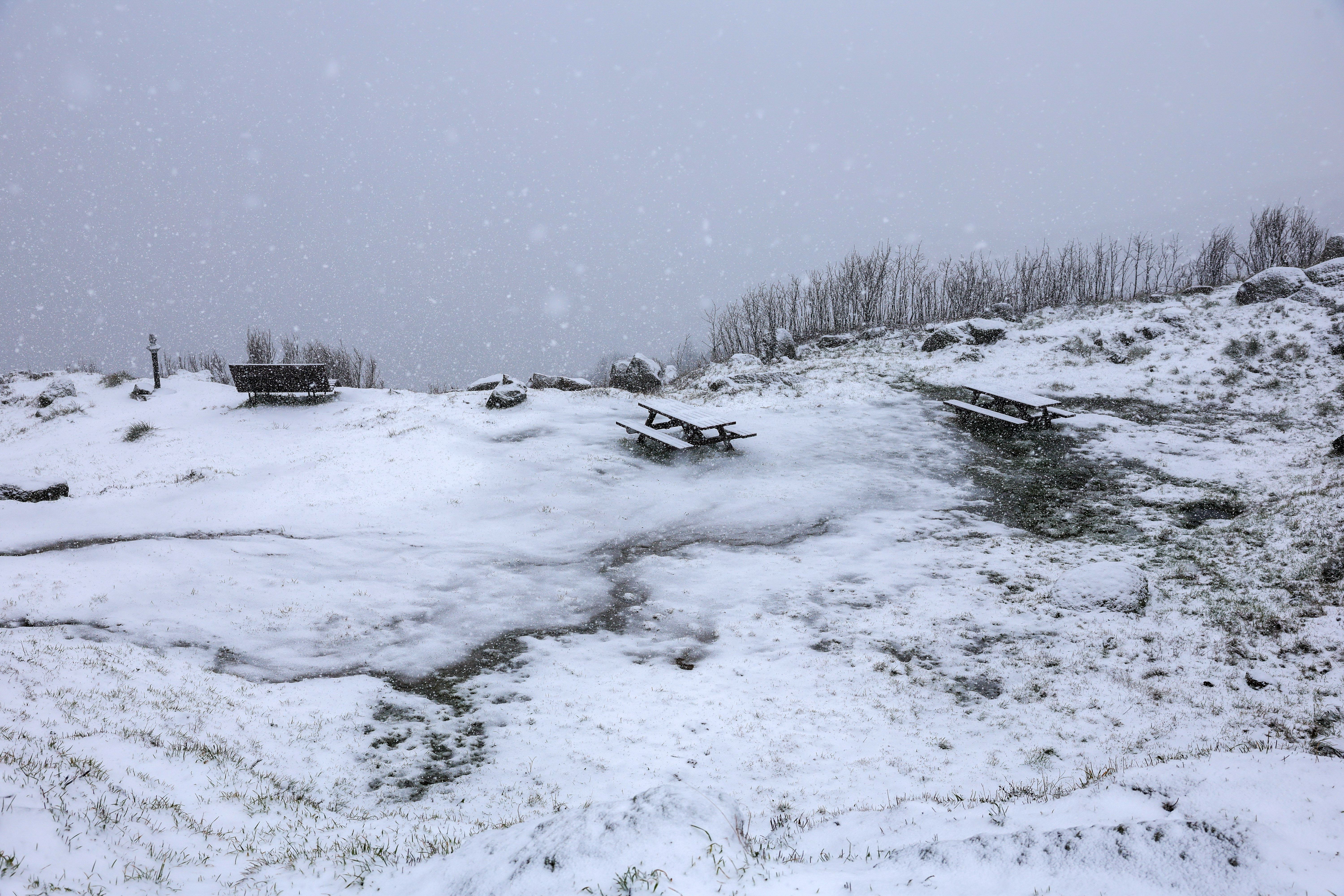 Neve na Serra da Gralheira, Cinfães - Foto: PAULO NOVAIS/LUSA