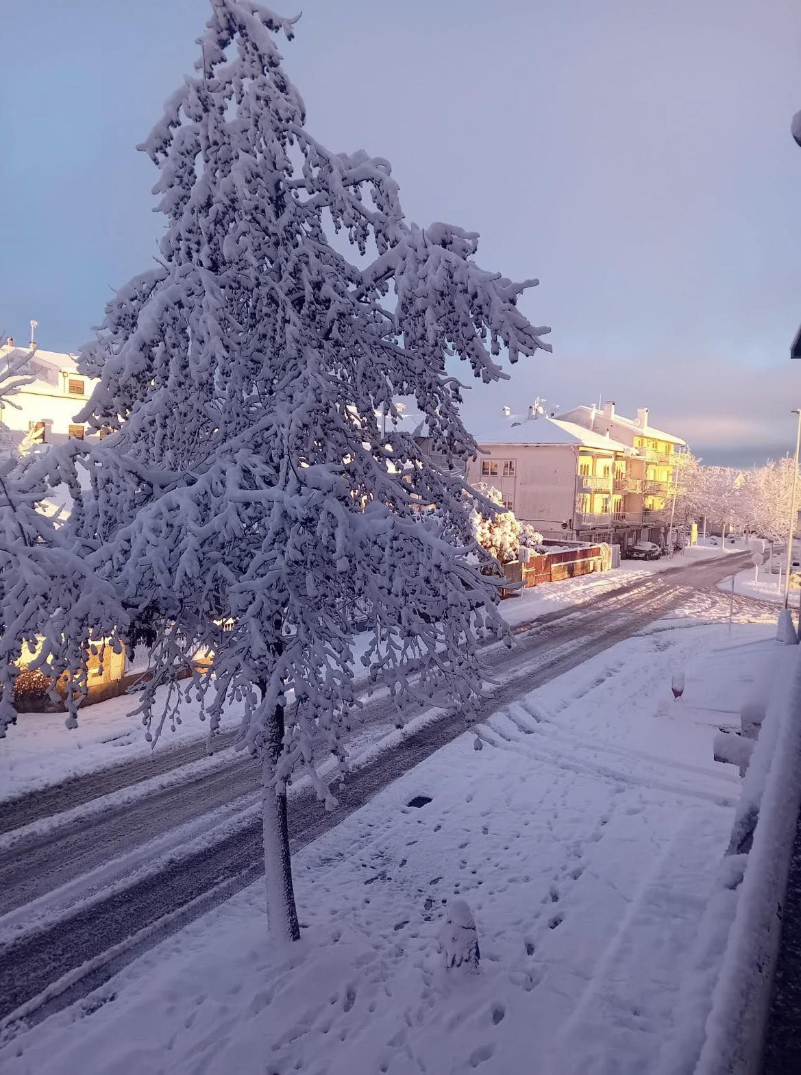 Neve em Carrazeda de Ansiães - Foto: Meteo Trás os Montes - Portugal