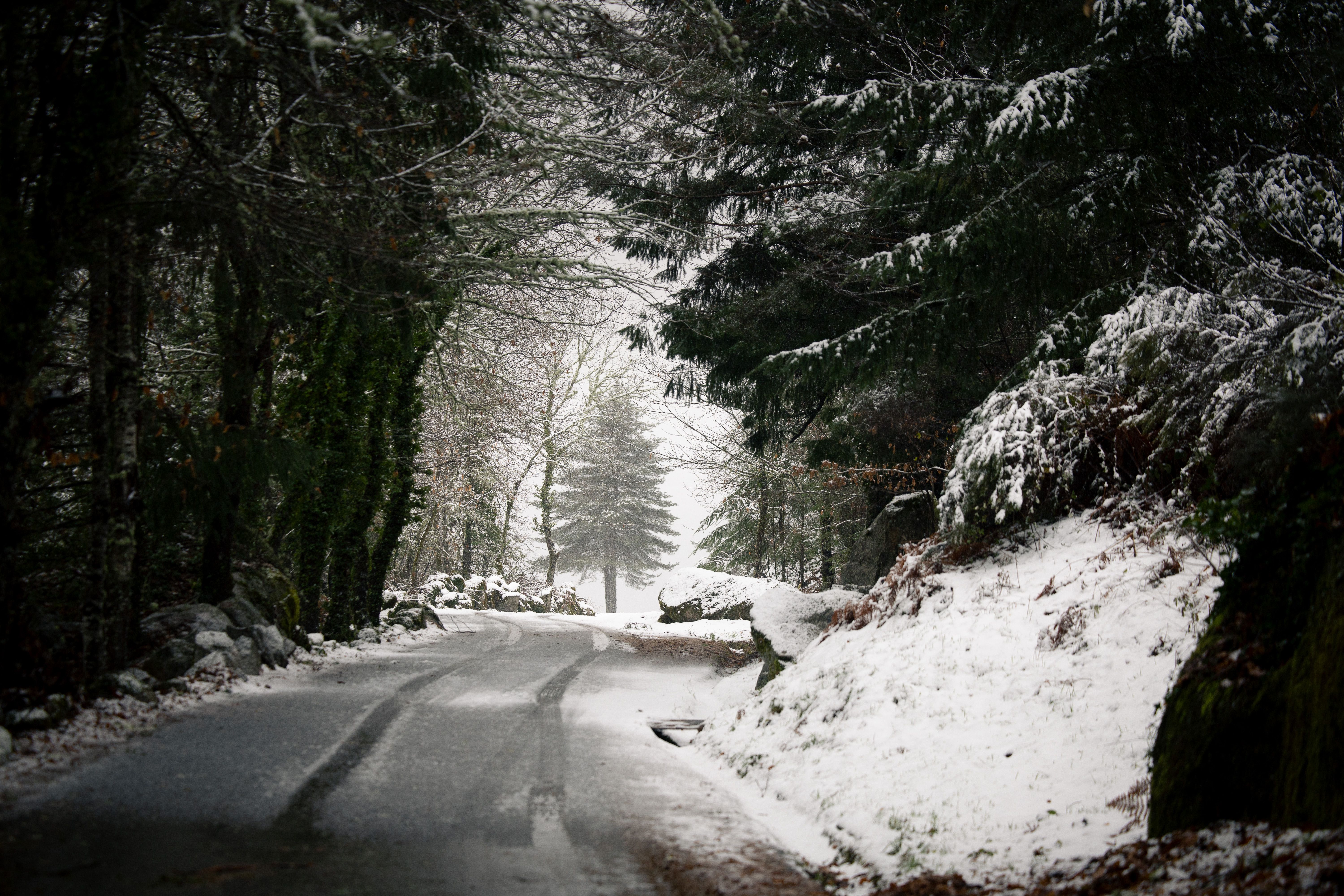 Neve em Vila Pouca de Aguiar. Foto: PEDRO SARMENTO COSTA/LUSA
