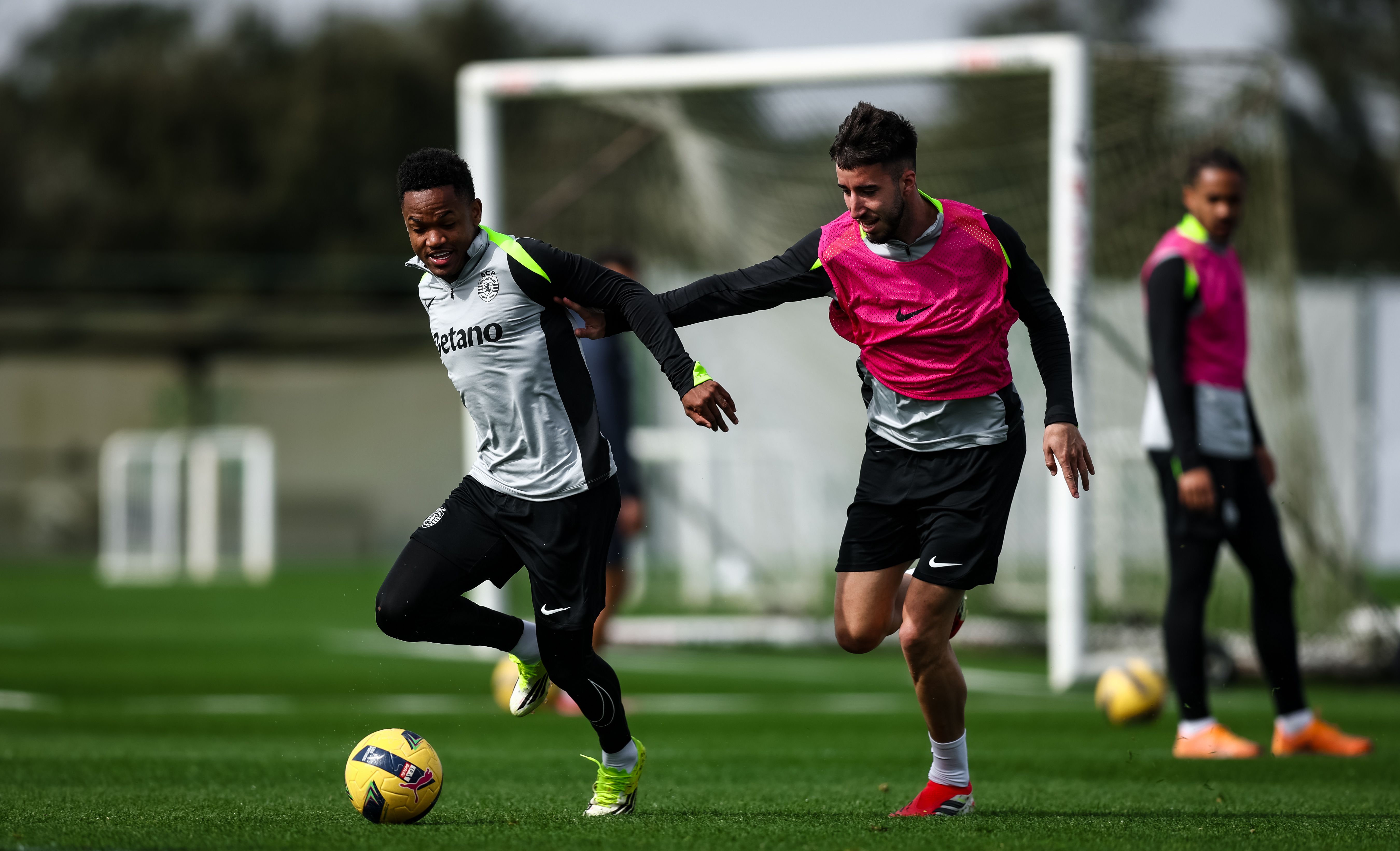 Geny Catamo e Gonçalo Inácio - Foto: Sporting CP