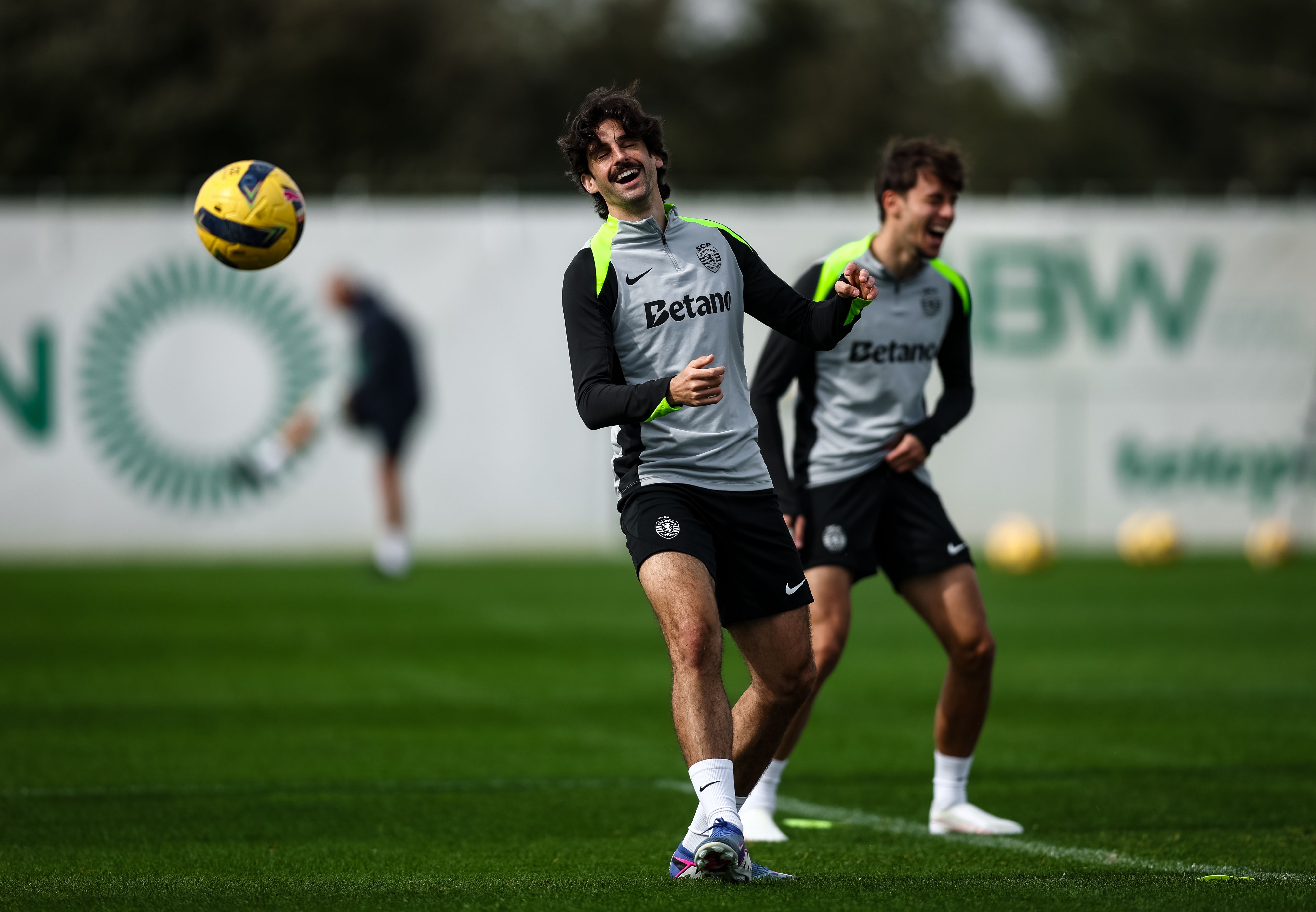 Trincão - Foto: Sporting CP