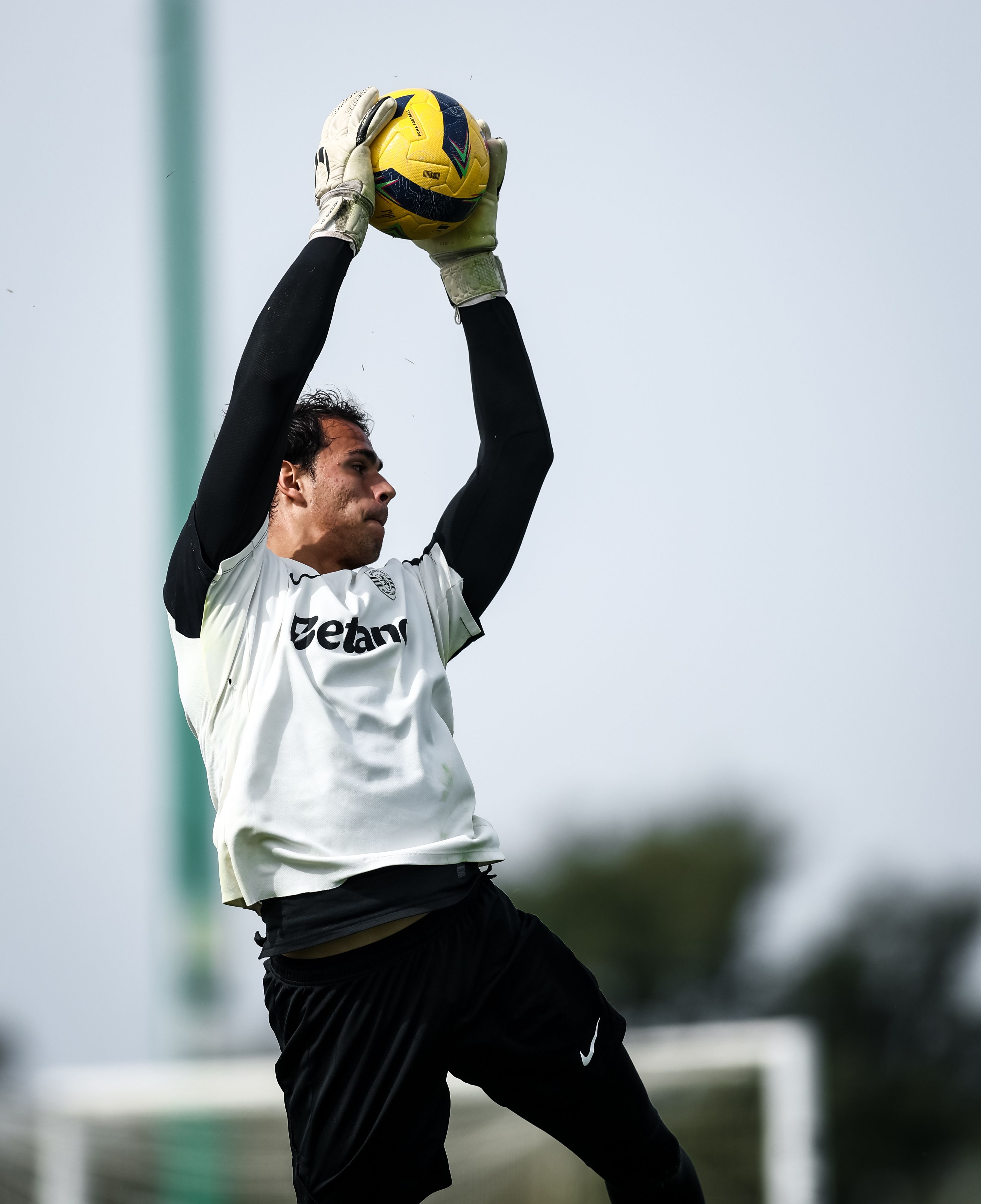 Diego Calais - Foto: Sporting CP