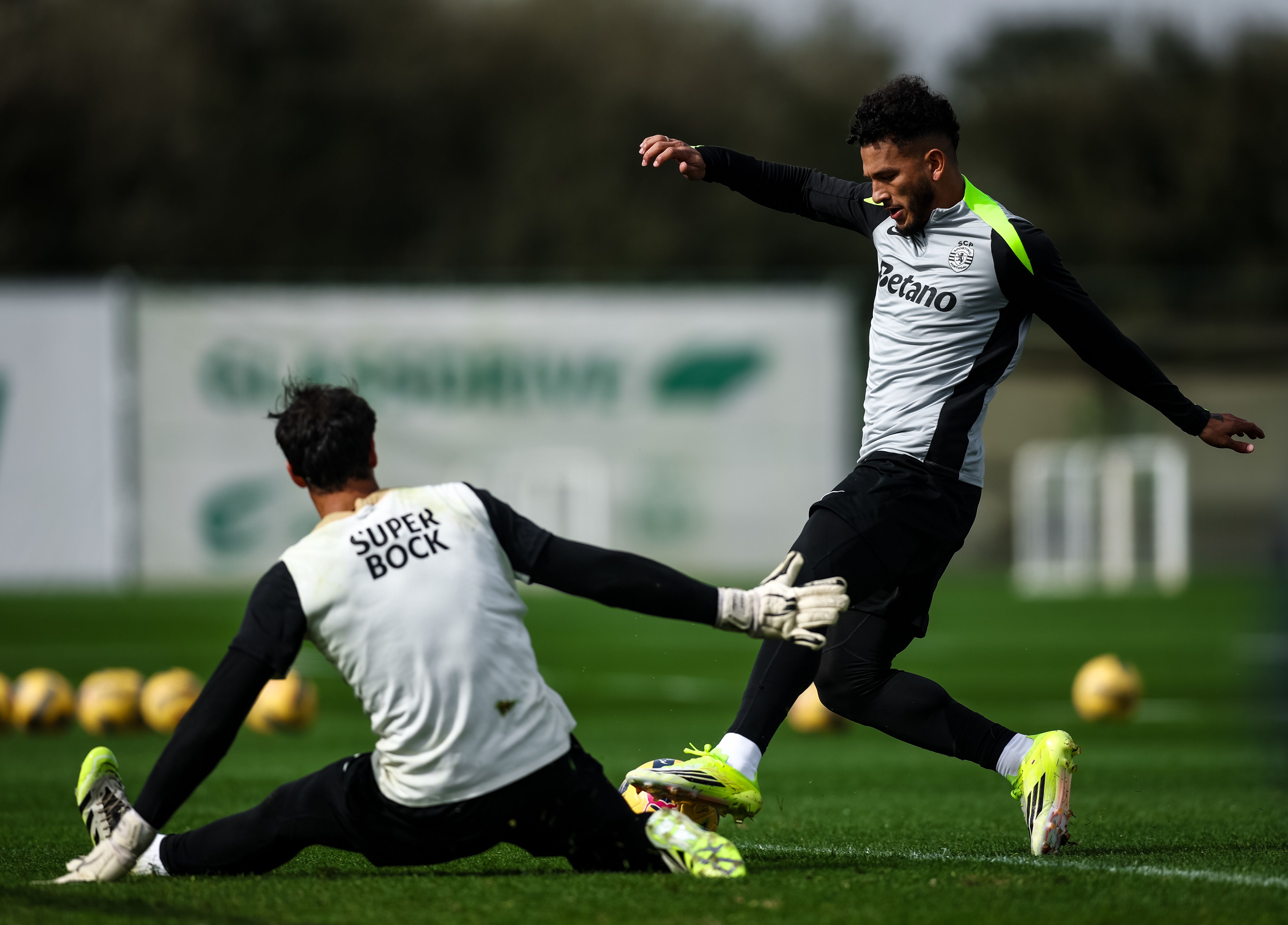 Luis Suárez - Foto: Sporting CP