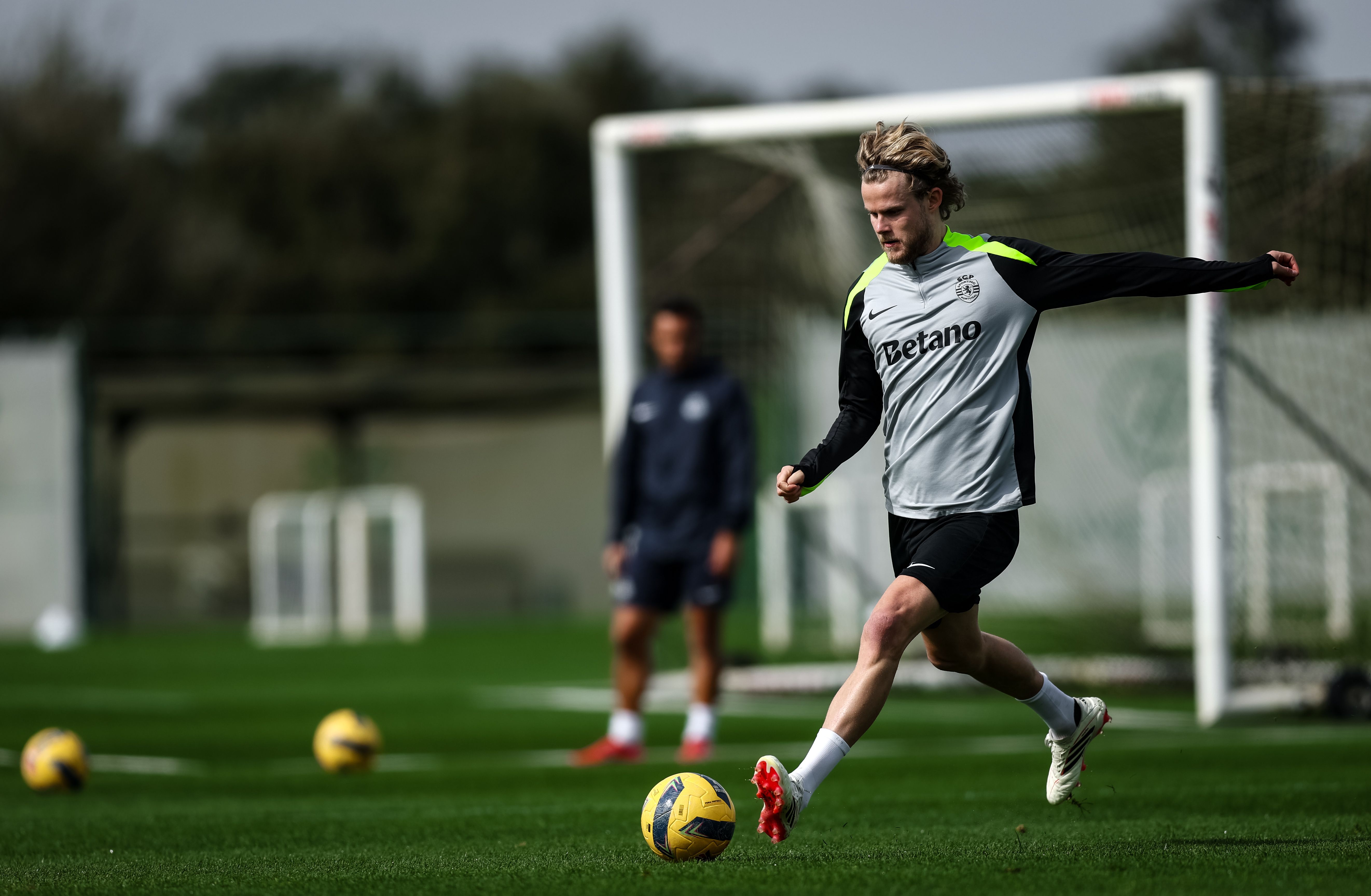 Hjulmand - Foto: Sporting CP