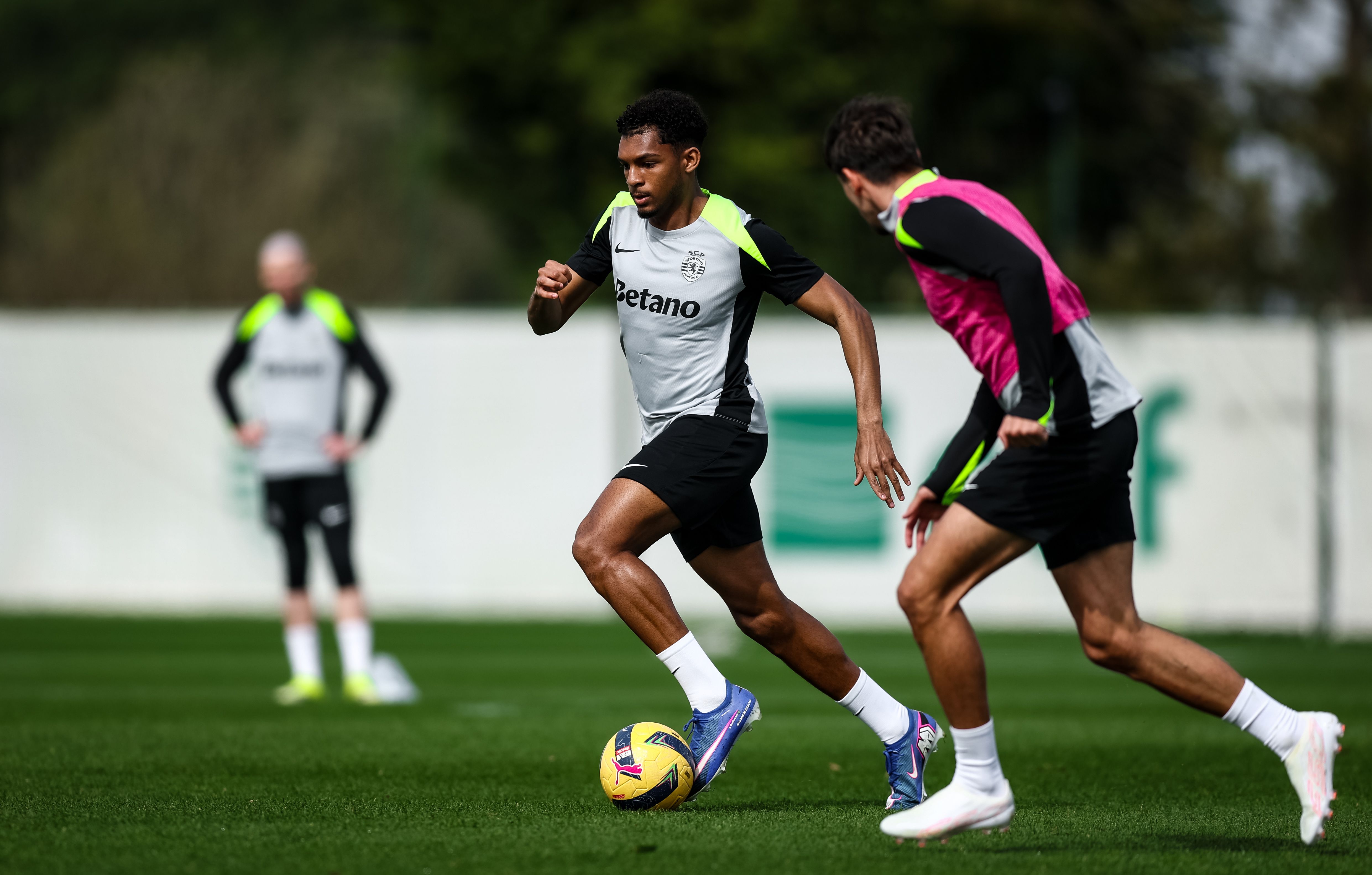 Luís Guilherme - Foto: Sporting CP