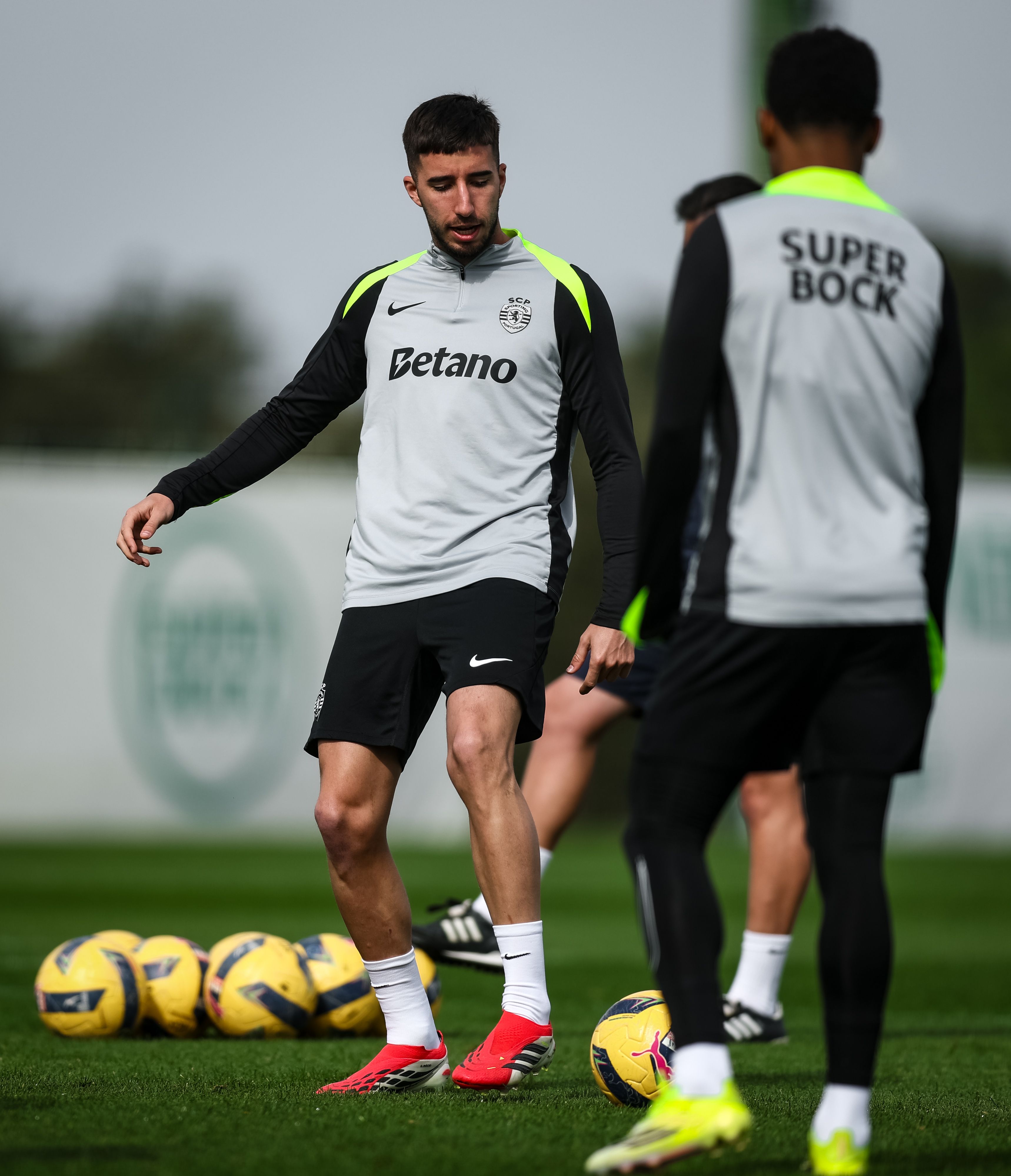 Gonçalo Inácio - Foto: Sporting CP