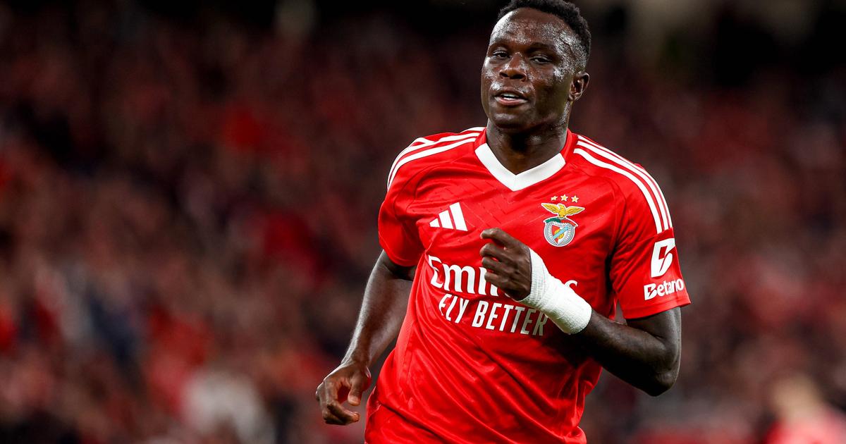 Benfica: «Bruma tem de desinibir-se, ele é diferente» | A Bola