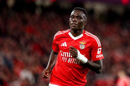 Bruma, extremo do Benfica (foto: Imago)