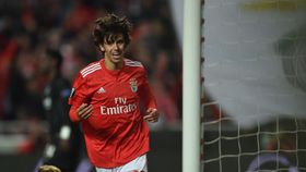 «Fazia todo o sentido João Félix voltar a um clube onde foi feliz»