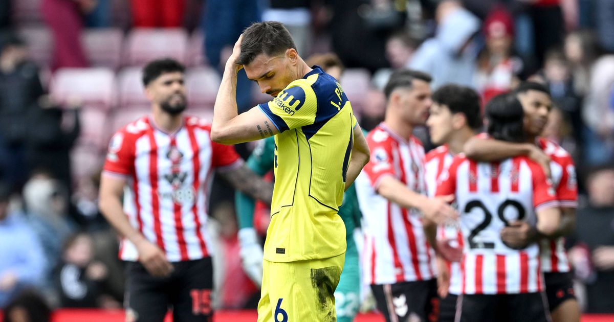 O futuro de Palhinha: «Tottenham sabe o que tem...»