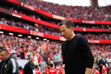 Roger Schmidt: «Sei um bocadinho sobre futebol»