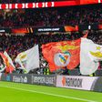 Benfica anuncia nova parceria comercial