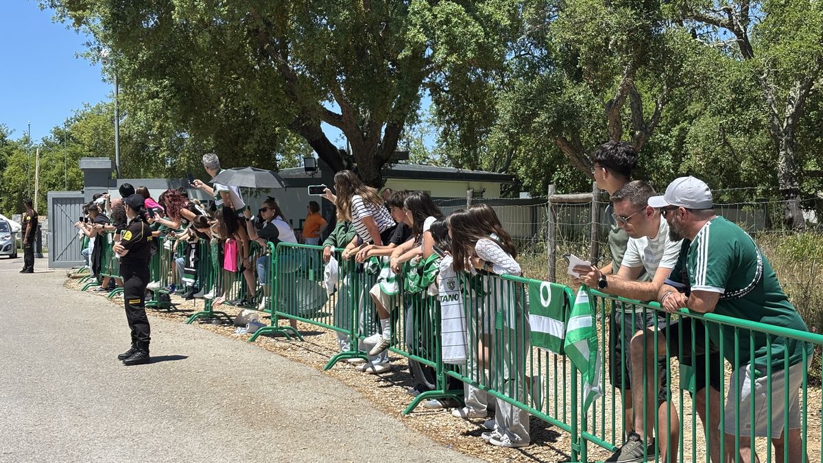 Torcedores apoiando o Sporting
