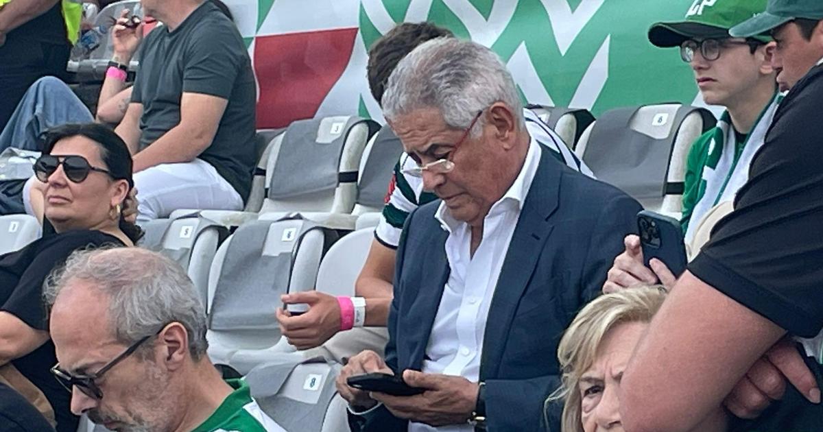 Luís Filipe Vieira assiste à final da Taça entre Sporting e Torreense (fotos)