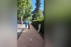 A festa da Taça já começou no Jamor
