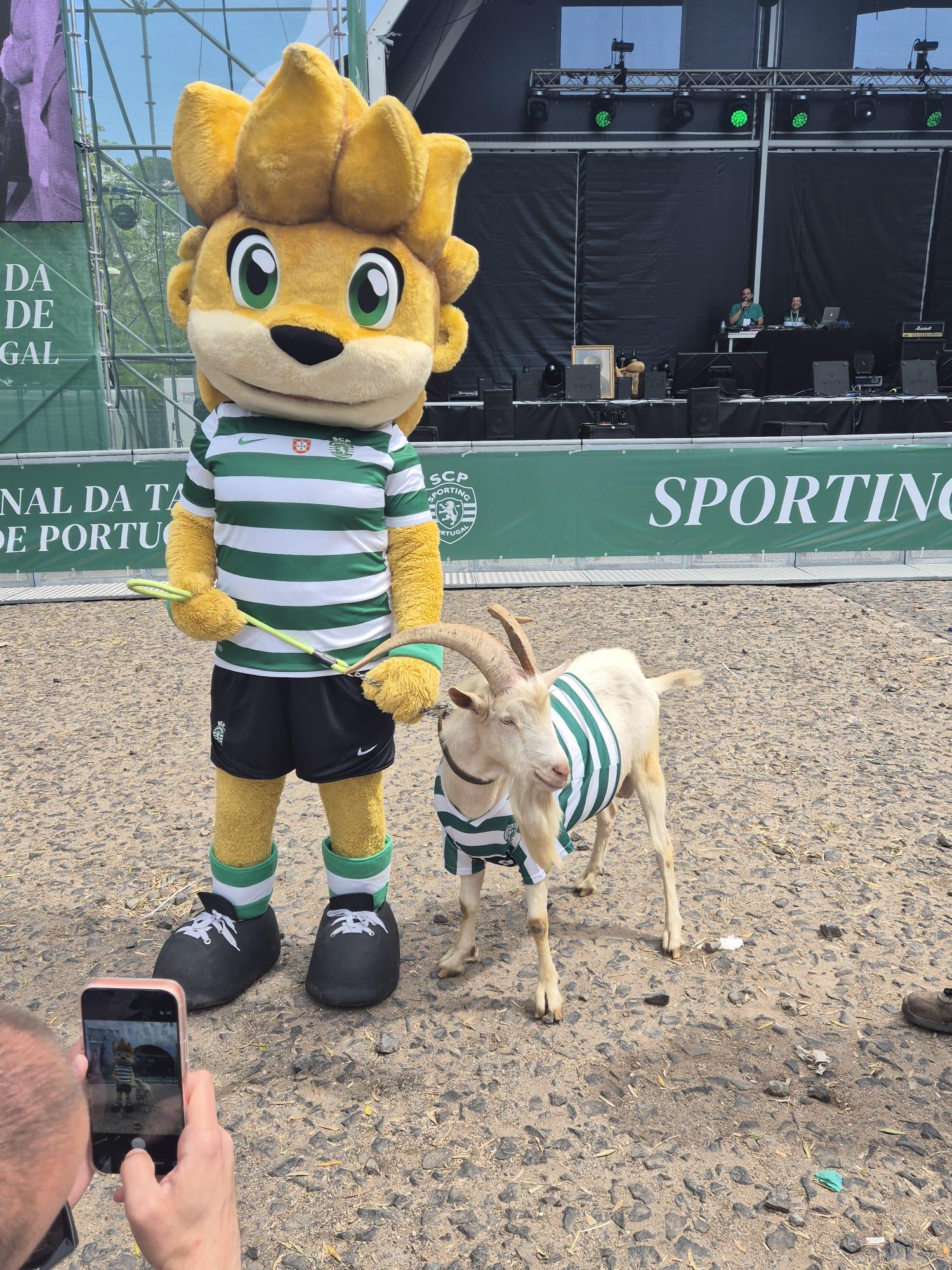 O Jamor já está em festa para o Sporting-Torreense da final da Taça - Foto: D.R.