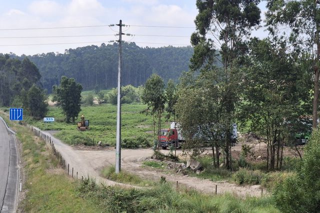 Academia do FC Porto: PS avança com queixa judicial
