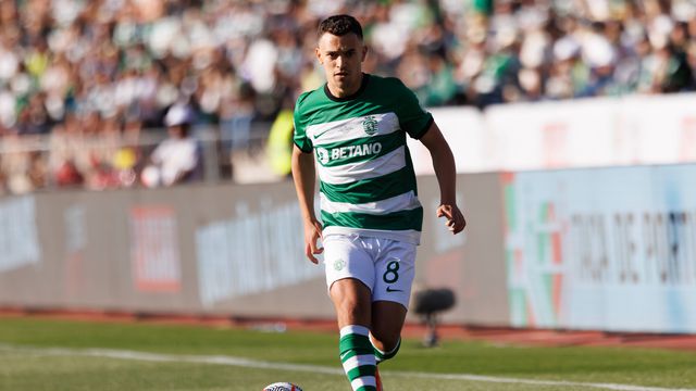 Mercado Total: Pavlidis, Pedro Gonçalves e Wendell