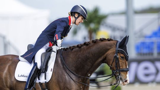 Atleta olímpica britânica mais condecorada banida dos Jogos por chicotear cavalo