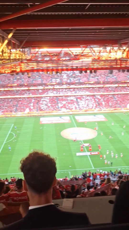 Aquecimento das equipas no Estádio da Luz