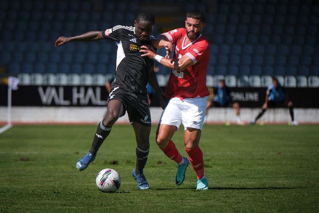 Açorianos voam nas asas de um ganso ferido