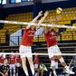 Voleibol: domínio espanhol na península