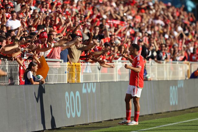 Portimonense-Benfica em direto: siga aqui