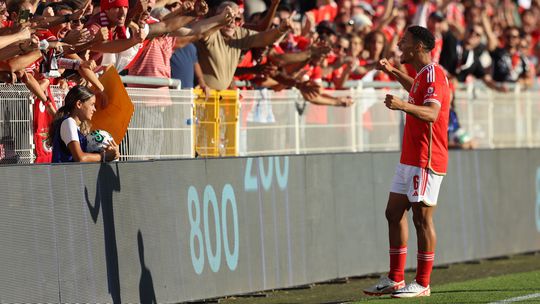 Portimonense-Benfica em direto: siga aqui