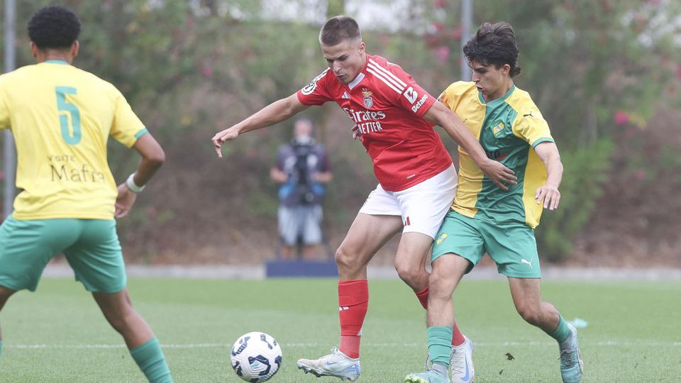 Liga Revelação: Benfica regressa às vitórias ante o Mafra