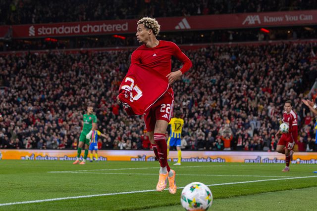 O elogio da estupidez