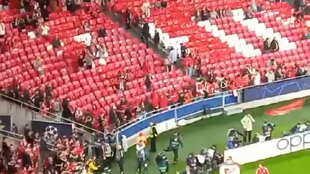 A 'volta olímpica' de Jonas no regresso à Luz