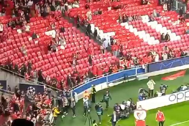 A 'volta olímpica' de Jonas no regresso à Luz