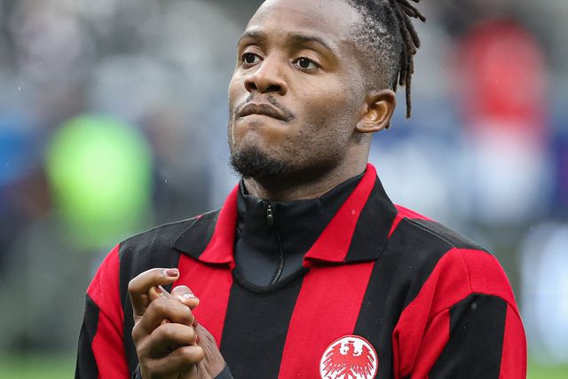 Estrela do Frankfurt procura dador de sangue para a sua gata