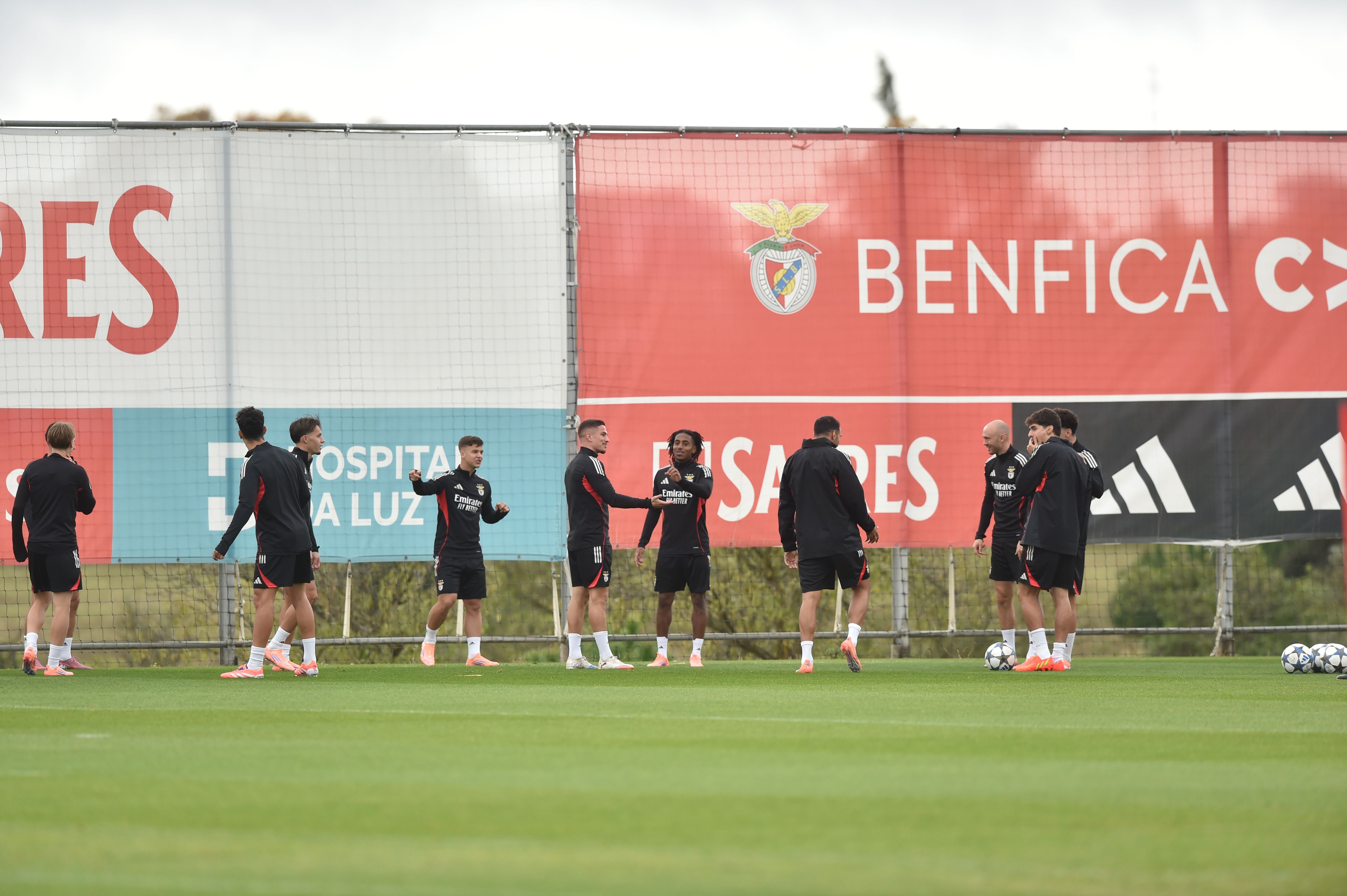 Samuel Dahl, Ivanovic e Leandro Barreiro no treino do Benfica - Foto: Miguel Nunes