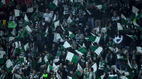 Sporting: bilhetes para o Young Boys esgotam em… 24 horas