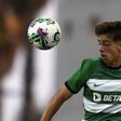 Sporting renova com mais uma pérola