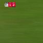 Bundesliga: golo de honra do Friburgo foi desenhado por Ginter a regra e esquadro (vídeo)