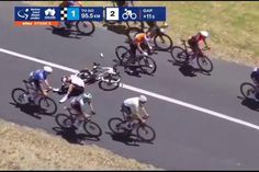 Que susto! Canguru provoca queda do pelotão